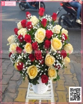 D124637 - belovedbeyond.com