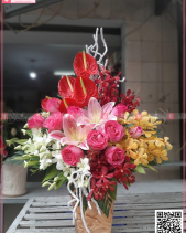 Tình Nồng - belovedbeyond.com