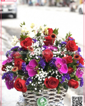 Xinh Xắn - belovedbeyond.com