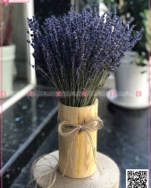Lọ Gỗ Hoa Lavender - Oải Hương Khô Pháp - belovedbeyond.com
