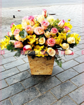 Yêu Thương - belovedbeyond.com