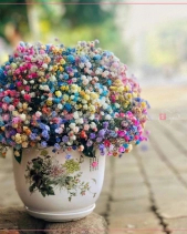Nồng Thắm - belovedbeyond.com