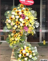 Hy Vọng - belovedbeyond.com