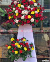 Khởi Sắc - belovedbeyond.com