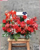 Xinh Xắn - belovedbeyond.com