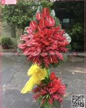 Tươi Sáng - belovedbeyond.com