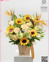 Khát Vọng Vươn Xa - belovedbeyond.com