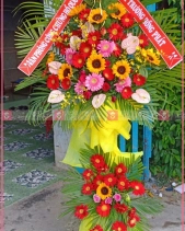 Bền Vững - belovedbeyond.com