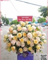 Sang Trọng - belovedbeyond.com