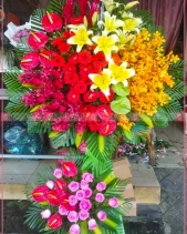 Vững Tiến - belovedbeyond.com