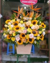 Dịu Dàng - belovedbeyond.com