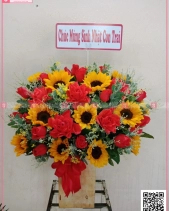 Toả Nắng - belovedbeyond.com