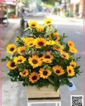 Rực Rỡ - belovedbeyond.com