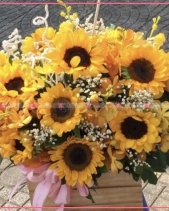 Sớm Mai - belovedbeyond.com