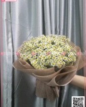 Toả Nắng - belovedbeyond.com