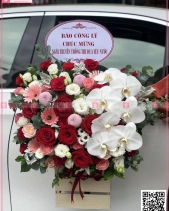 Nắng Hạ - belovedbeyond.com