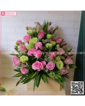 Thu Về - belovedbeyond.com
