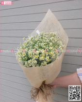 Thu Về - belovedbeyond.com