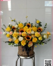 Toả Nắng - belovedbeyond.com