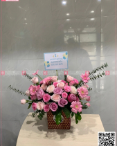 Thanh Khiết - belovedbeyond.com