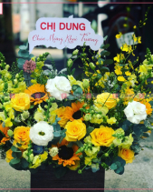 Nồng Thắm - belovedbeyond.com