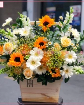 Thu Về - belovedbeyond.com