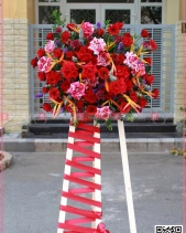 Bền Vững - belovedbeyond.com