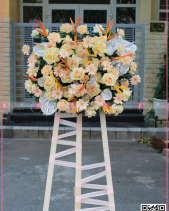 Vững Tiến - belovedbeyond.com
