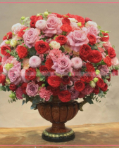 Nồng Nàn - belovedbeyond.com