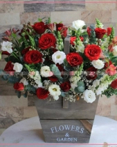 Sớm Mai - belovedbeyond.com