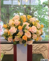 Tình Đầu - belovedbeyond.com