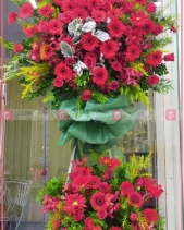 Đong Đầy - belovedbeyond.com