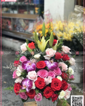 Tinh Khiết - belovedbeyond.com