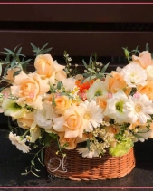 Thu Về - belovedbeyond.com