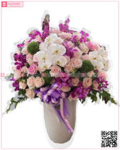 Tinh Khiết - belovedbeyond.com