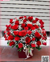 Rực Rỡ - belovedbeyond.com