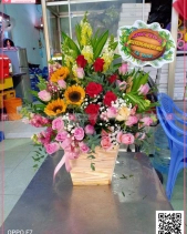 Toả Nắng - belovedbeyond.com