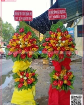 Phát Tài - belovedbeyond.com