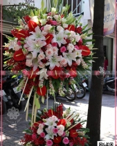 Vững Tiến - belovedbeyond.com