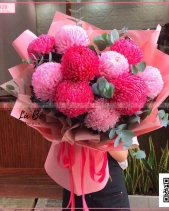 Cúc Mẫu Đơn Hồng Đậm Nhạt - belovedbeyond.com