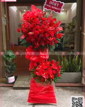 Khởi Sắc - belovedbeyond.com