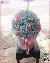 Sunshine - belovedbeyond.com