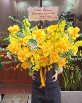 Vàng Tươi - belovedbeyond.com