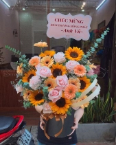 Khởi Sắc - belovedbeyond.com