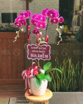 Nồng Nàn - belovedbeyond.com