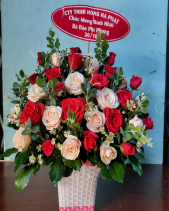 Ươm Mầm - belovedbeyond.com