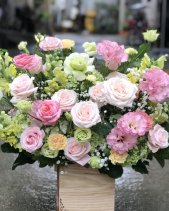 Ươm Mầm - belovedbeyond.com