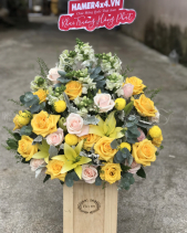 Ươm Mầm - belovedbeyond.com