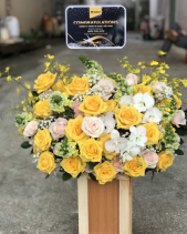 Ươm Nắng - belovedbeyond.com