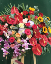 Tri Ân - belovedbeyond.com